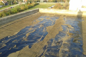 Thumbnail Placeholder