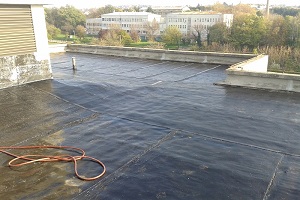 Thumbnail Placeholder