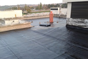 Thumbnail Placeholder