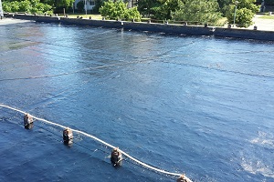 Hidroizolacija - Novi Beograd